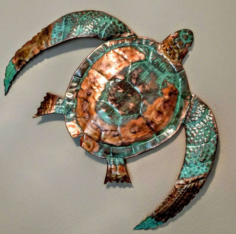 https://thecoppertiger.com/wp-content/uploads/2024/07/turtle1.jpg