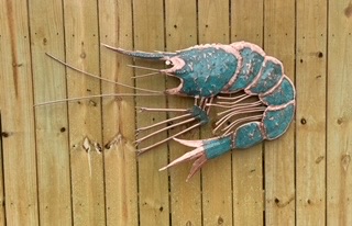 647106769-img_7407
